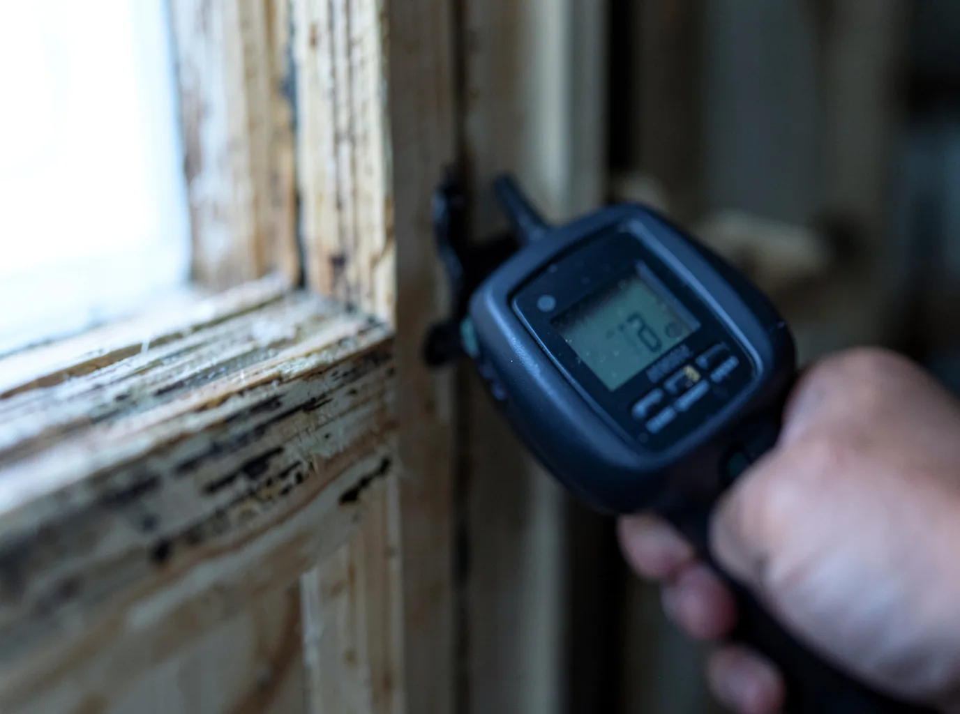 Ceiling Water Damage Repair in Issaquah, WA